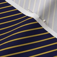 Navy and Gold Diagonal Stripes