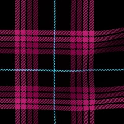 Punky Plaid 216 Pink Turquoise