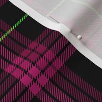 Punky Plaid 217 Pink Green