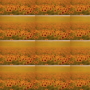 SUNFLOWERS_IN_SPAIN-spoonflower