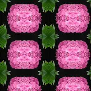 HYDRANGEA-150-spoonflower