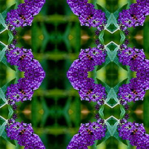 PURPLEBUTTERFLYBUSH_BUG-spoonflower