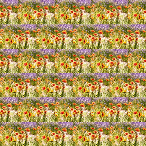 INDIANBLANKET-spoonflower