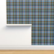 Classic Blue and Brown Plaid