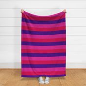Stripes - Horizontal - 4 inch (10.16cm) - Mid Pink (#dd2695), Dark Pink (#d30053) and Purple (#4d008a)