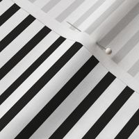 Black_and_White_Stripes