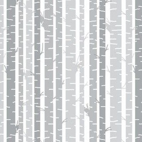 Birch Trees Gray on White Background