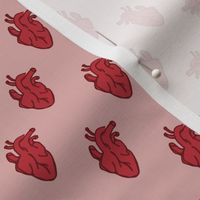 Anatomical Heart Beat, Pink and Red