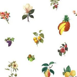 Fruit n Floral