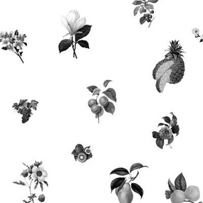 Fruit n Floral BW