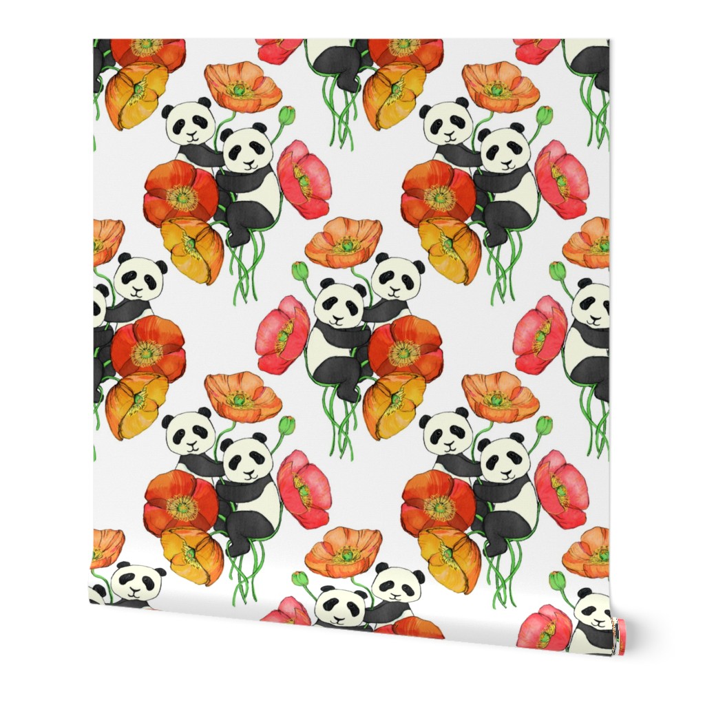 Poppies and Pandas