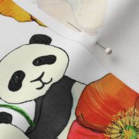 Poppies and Pandas