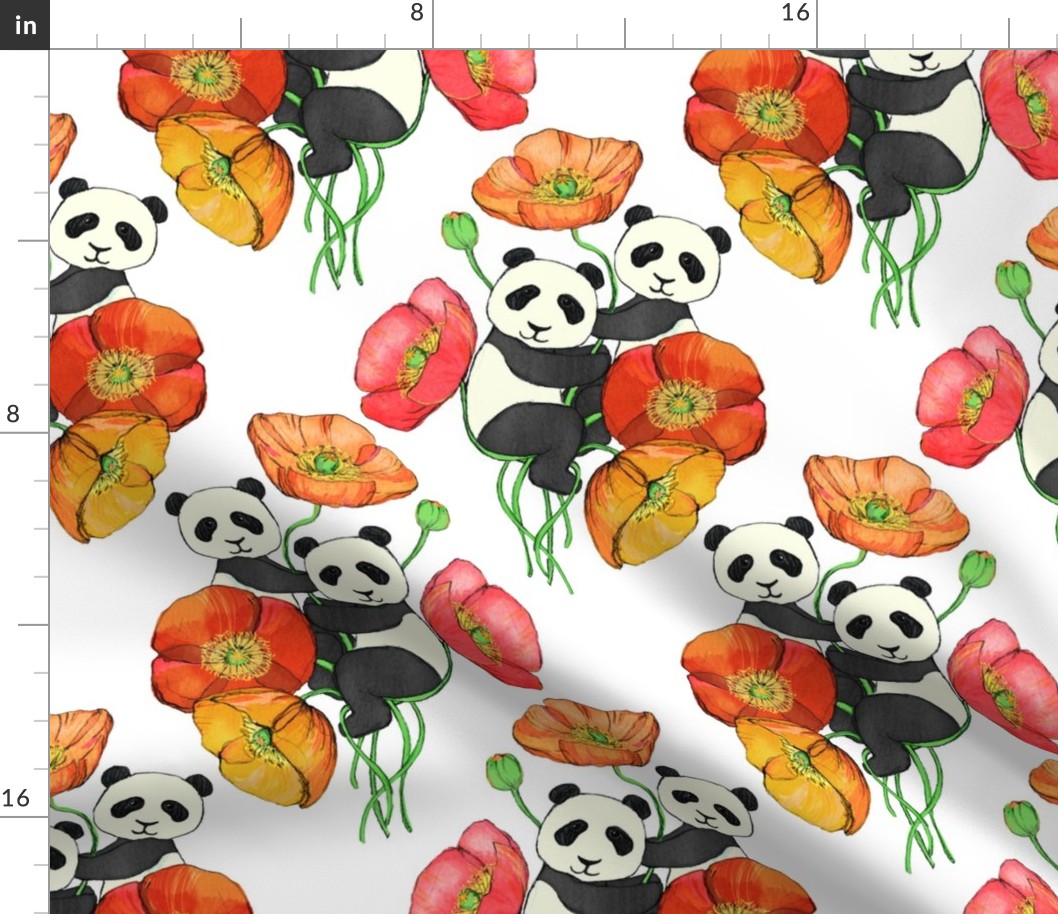 Poppies and Pandas