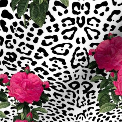 Ooh La La! Leopard with Hot Pink Redoute Roses ~ Medium