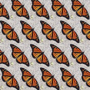 Monarchs at rest