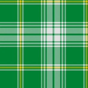 St. Patrick tartan, 6" traditional colors