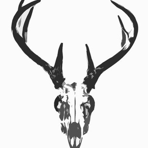 deer skull small