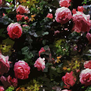 Midnight Rose Garden