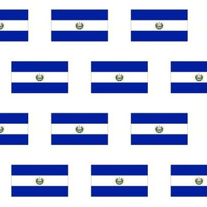 El Salvador Flag // Small