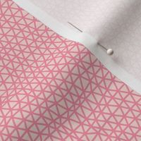 Folky Dokey-Woven in Blush-Celebrate colorway