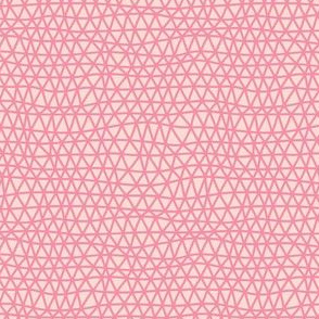 Folky Dokey-Woven in Blush-Celebrate colorway