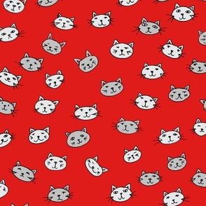 Catface on red background