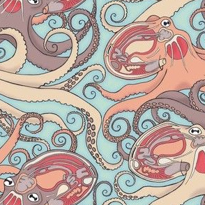 Anatomical Octopus