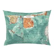 Map Wrap™ Antarctica Oceans Map Fat Quarter Teal Green  