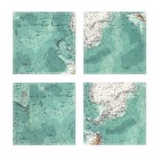 Map Wrap™ Antarctica Oceans Map Fat Quarter Teal Green  