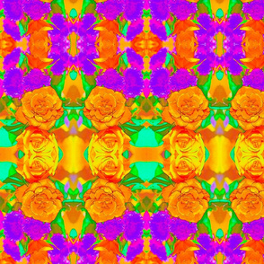 Orange Rose #1 Kaleidoscope