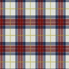 Classic Tartan in Red and Blue / Half Scale