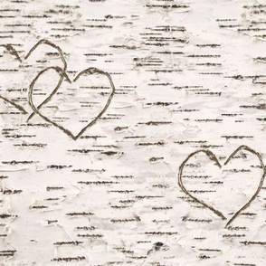 Love, Carved in Birch