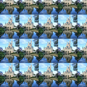 Castle Reflection Photo