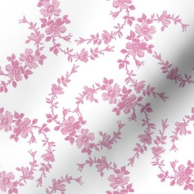 Lilla Wildflowers in sorbet monotone