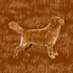 Golden Retriever, Custom 6 in sq