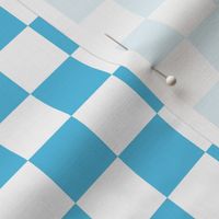 Checks - 1 inch (2.54cm) - White (#FFFFFF) & Light Blue (#57BEE4)