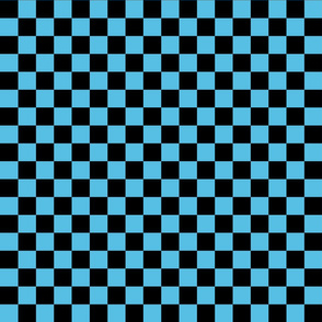 Checks - 1 inch (2.54cm) - Black (#000000) & Light Blue (#57BEE4)