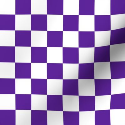 Checks - 1 inch (2.54cm) - White (#FFFFFF) & Dark Purple (#5E259B)