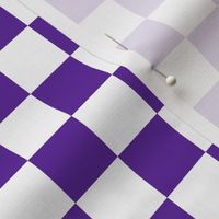 Checks - 1 inch (2.54cm) - White (#FFFFFF) & Dark Purple (#5E259B)