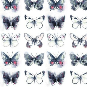 Grey Butterflies