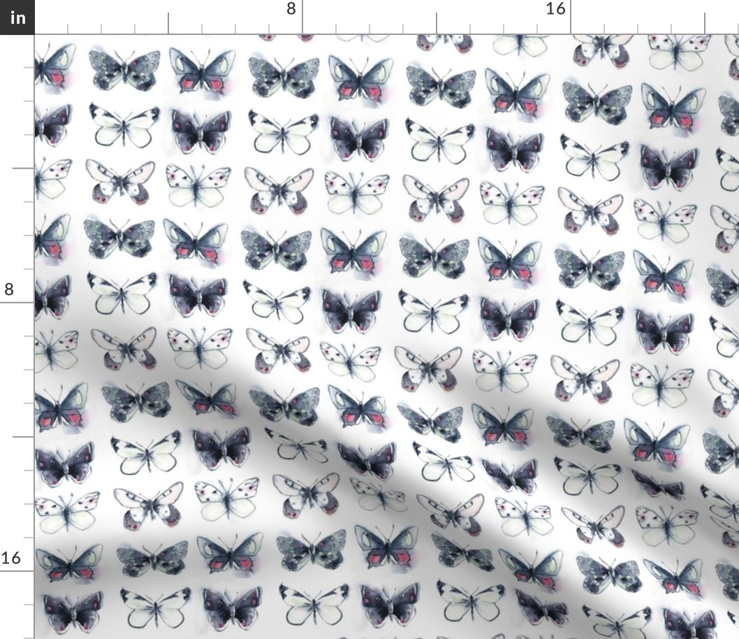 Grey Butterflies