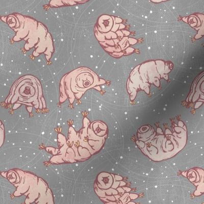 Tardigrades in Space - grey