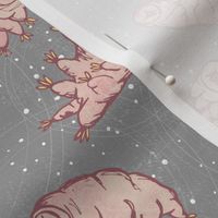 Tardigrades in Space - grey