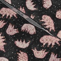 Tardigrades in Space - black