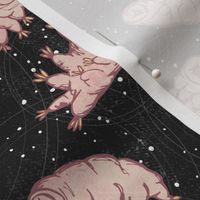 Tardigrades in Space - black