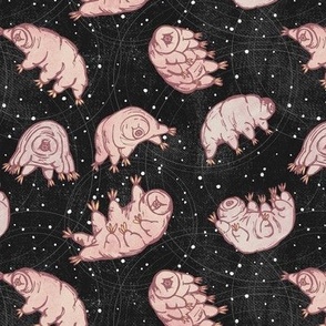 Tardigrades in Space - black