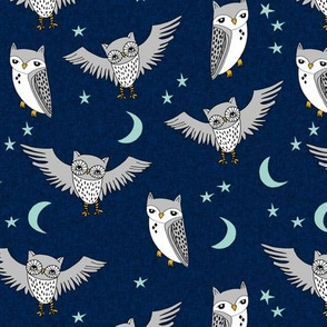 owl // moon stars sky night navy mint grey nursery cute 