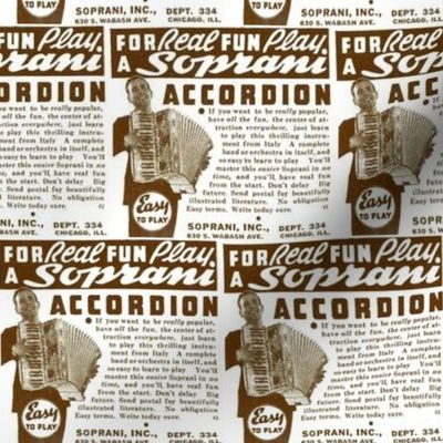 For Real Fun Play the Accordion advertisement