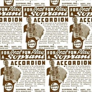 For Real Fun Play the Accordion advertisement