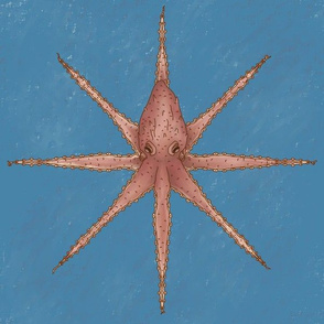 Octopus Symmetry - Sea